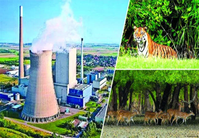 রামপালের ড্রেজিংয়ে হুমকিতে পড়বে জলজ প্রাণী: ইউএসএ ও অস্ট্রেলিয়ার বিজ্ঞানী