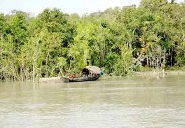 সুন্দরবনে জেলে অপহরণের চেষ্টা, অস্ত্রসহ আটক ২