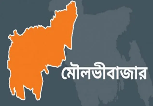মৌলভীবাজারে পাহাড় ধসে মা-মেয়ের মৃত্যু 