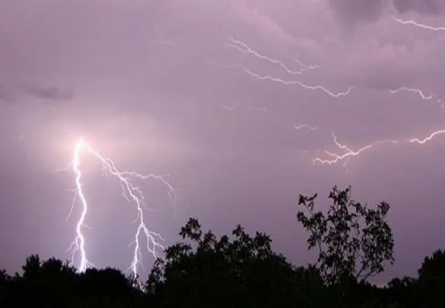 ফরিদপুরে বজ্রপাতে মা-ছেলেসহ নিহত ৫