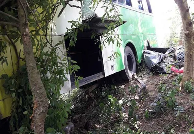 ৫ জেলায় প্রাণ গেল ১৭ জনের