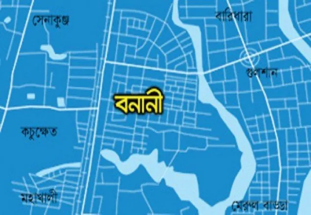 বনানীতে ফের জন্মদিনের কথা বলে ডেকে নিয়ে ধর্ষণ