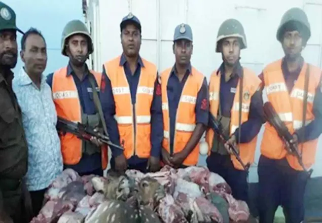 সুন্দরবন থেকে হরিণের ৮০ কেজি মাংস, মাথা ও চামড়া উদ্ধার