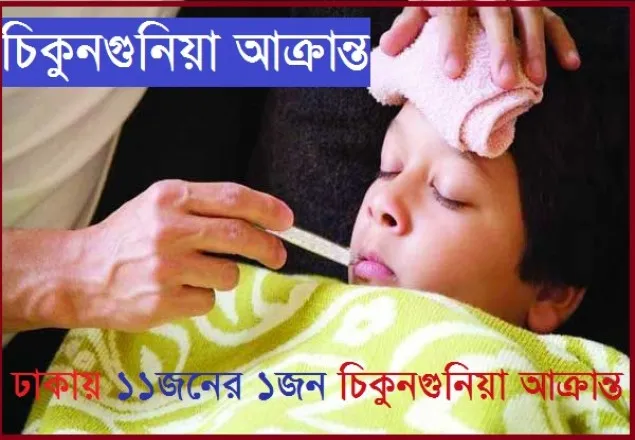 ঢাকায় ১১জনের ১জন চিকুনগুনিয়া আক্রান্ত 