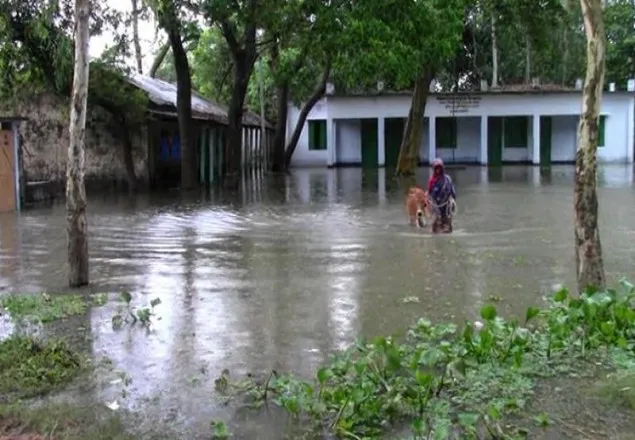 বন্যায় গাইবান্ধায় ৫১ স্কুলে পাঠদান ব্যাহত