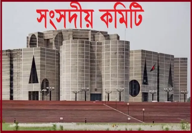 দর্শক টানতে স্কুল শিক্ষার্থীদের সিনেমা দেখাতে চায় সংসদীয় কমিটি 
