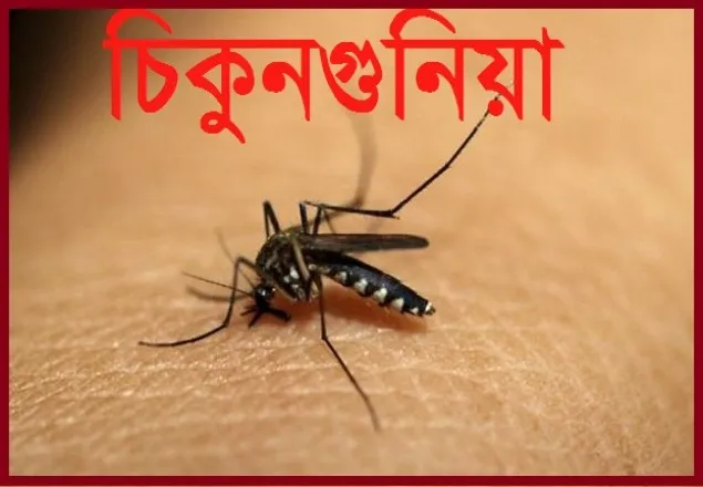 ডিএসসিসি কর্মকর্তা-কর্মচারিদের ছুটি বাতিল 
