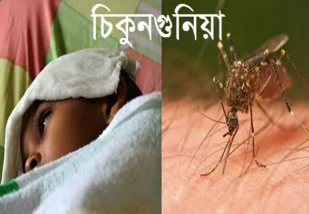 'ডিএসসিসির কল সেন্টারে ফোন করে মিলছে না চিকিৎসাসেবা'