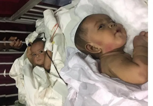 জ্ঞান ফিরেছে তোফা ও তহুরার 