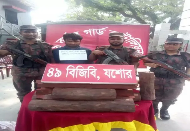 বেনাপোলে বিপুল পরিমান বাংলাদেশী রক্ত চন্দন কাঠসহ আটক ১