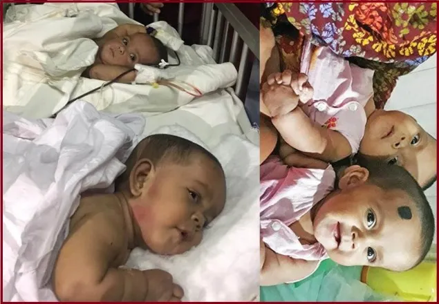 সংক্রমণের ঝুঁকিতে তোফা ও তহুরা 