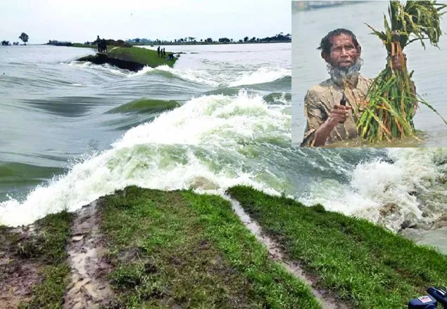 হাওরে দুর্নীতি: সচিবসহ ১৪০ জনের বিরুদ্ধে মামলা 