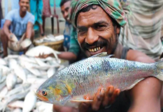 ইলিশ আমাদের নিজস্ব পণ্য, মিলল স্বীকৃতি