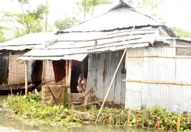 পানি কমলেও হাওর পাড়ের কান্না থামেনি