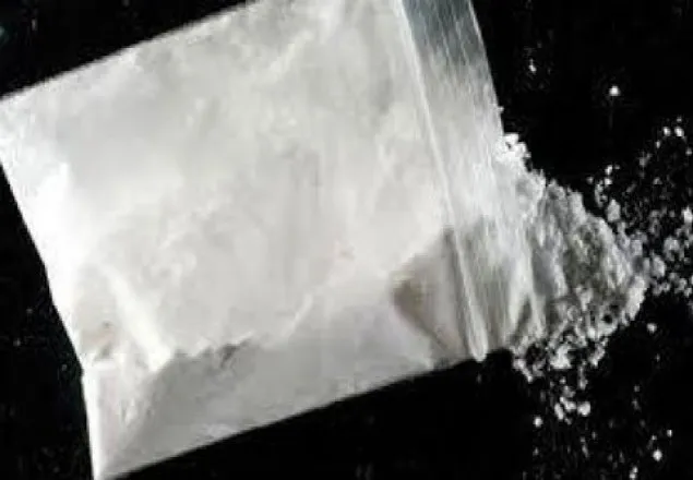 ২২ কোটি টাকার কোকেনসহ গ্রেফতার ৬