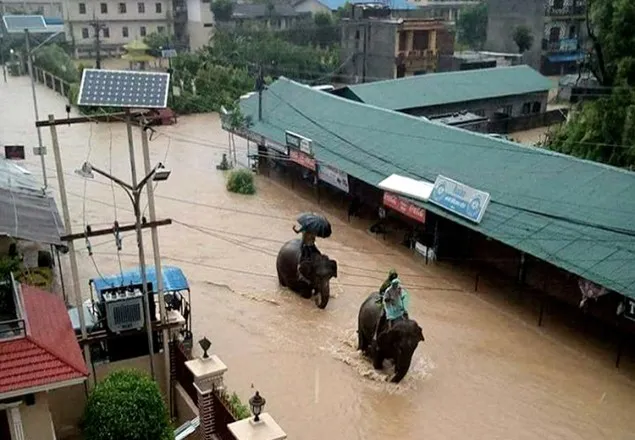 নেপালে বন্যায় নিহত ৪৯, উদ্ধার তৎপরতায় হাতি