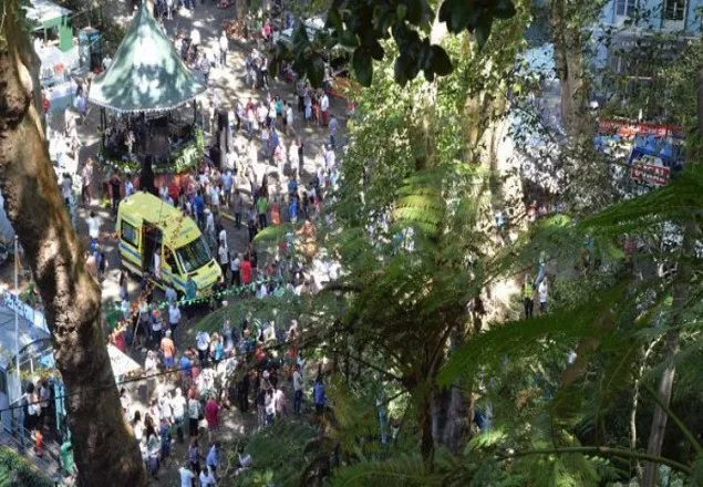 পর্তুগালে গাছচাপায় ১৩ জনের মৃত্যু