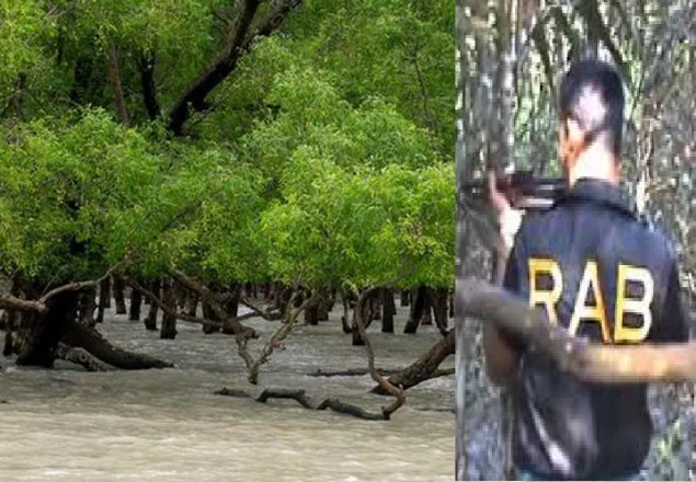 সুন্দরবনে র‍্যাবের সঙ্গে বনদস্যুদের গোলাগুলি, আটক ২
