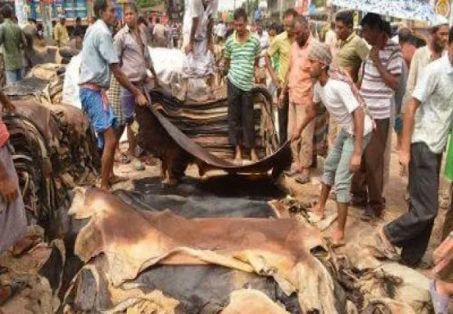 ঈদুল আজহার পশুর চামড়ার দাম নির্ধারণ