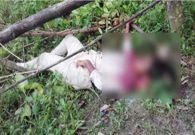 নরসিংদীতে ধর্ষণে ব্যর্থ হয়ে গলাকেটে হত্যা