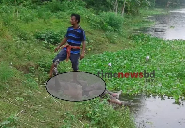 বেনাপোলে ইছামতি নদী থেকে যুবকের লাশ উদ্ধার 