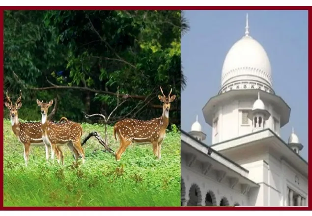 সুন্দরবনের ১০ কিলোমিটারের মধ্যে শিল্প-কারখানা না করার নির্দেশ