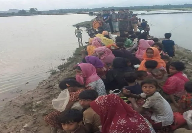 ৮৬ রোহিঙ্গা মুসলিমকে ফেরত পাঠিয়েছে বিজিবি 