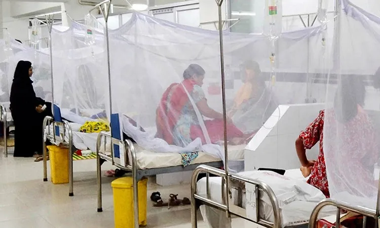 ডেঙ্গুতে আরও ১১ জনের মৃত্যু, হাসপাতালে ভর্তি ২৭৮২