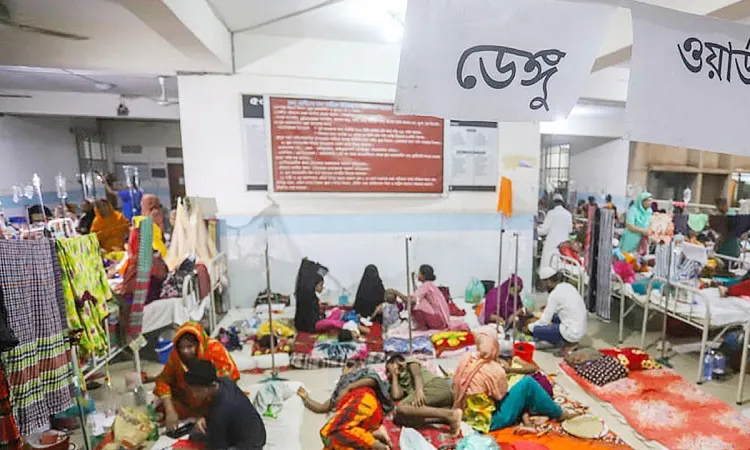 একদিনে ১৫৩৪ জনের ডেঙ্গু শনাক্ত, মৃত্যু আরও ৪