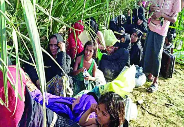 টেকনাফ সীমান্তে আরও ১৪১ রোহিঙ্গাকে ফেরত 