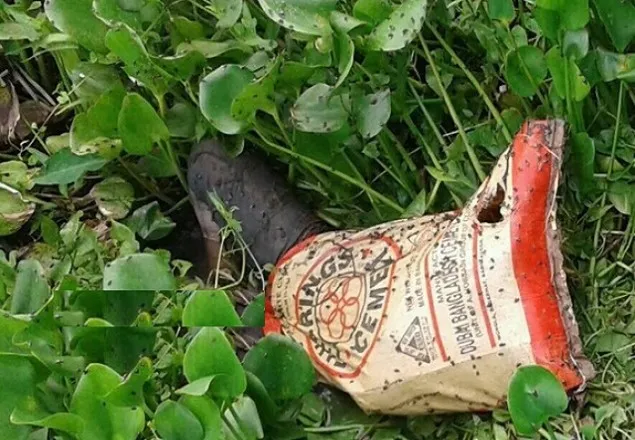 শিশু হত্যা মামলায় মা সহ ৪ জনের মৃত্যুদণ্ড