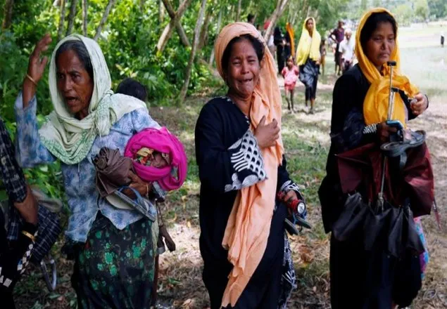 স্যাটেলাইটে রোহিঙ্গাদের ওপর নারকীয় তাণ্ডবের নতুন চিত্র