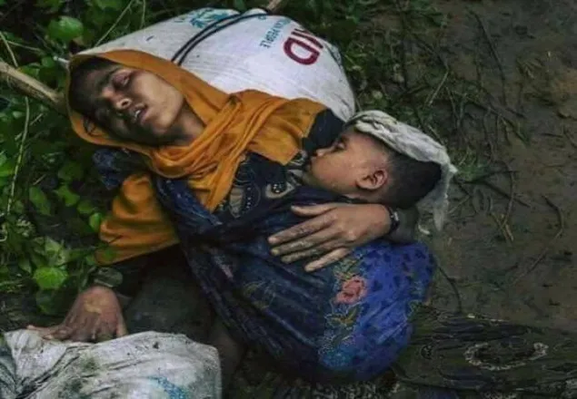 রোহিঙ্গাদের আশ্রয় দিবে মালয়েশিয়া