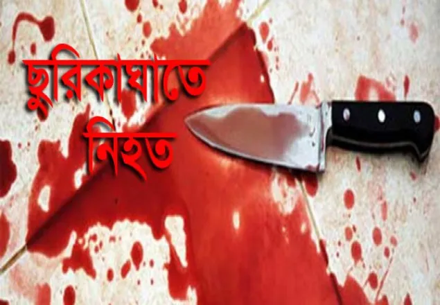 আশু‌লিয়ায় ছুরিকাঘাতে ৬ষ্ঠ শ্রেণির শিক্ষার্থী নিহত 
