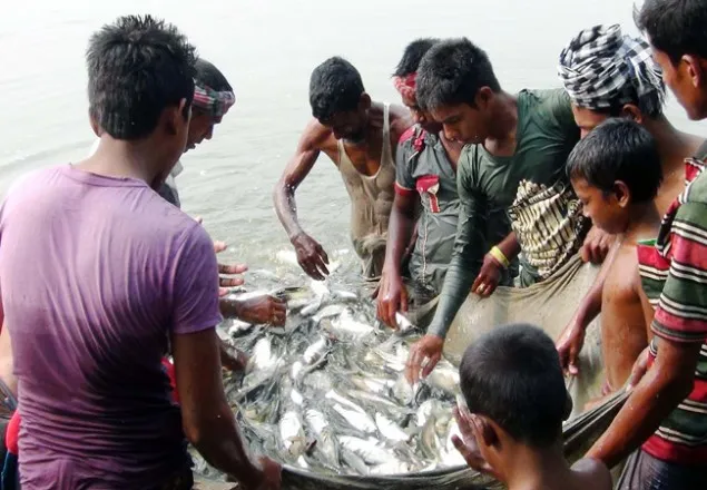 মৎস্য  উৎপাদনে ২০২২ সাল নাগাদ  বিশ্বে শীর্ষে থাকবে বাংলাদেশ