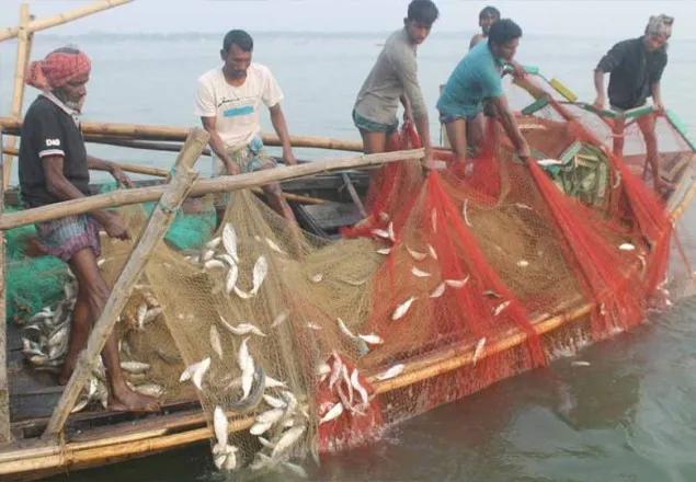 ১ থেকে ২২ অক্টোবর  ইলিশ ধরা ও বিক্রি নিষিদ্ধ হচ্ছে