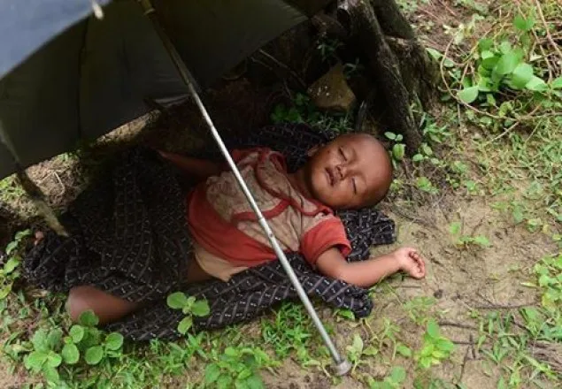 দালালের খপ্পরে পড়ে শিশুসহ আট রোহিঙ্গা যশোরে
