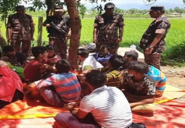 তল্লাশি চালিয়ে ৭৯ রোহিঙ্গাকে বিজিবি'র কাছে হস্তান্তর