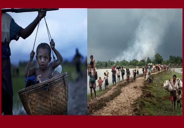 জাতি নিধন-গণহত্যার মতো শব্দ ব্যবহার উচিত নয়, জাতিসংঘকে উপহাস 