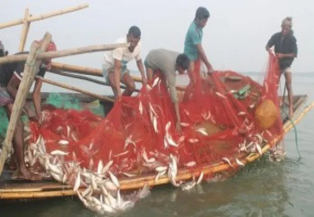 মধ্যরাত থেকে ২২ অক্টোবর ইলিশ ধরা নিষিদ্ধ