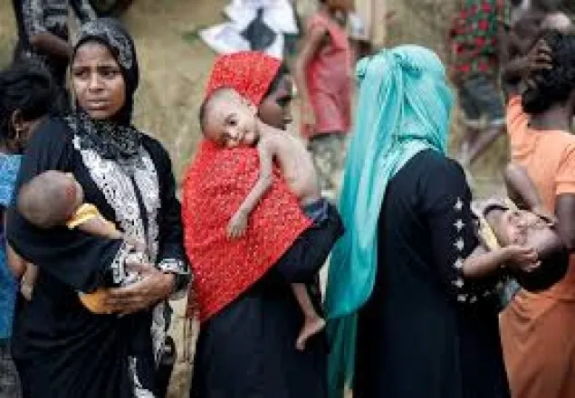  সাতক্ষীরা সীমান্তে আরও ১৮ রোহিঙ্গাকে পুশ ইন
