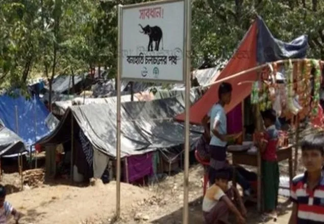 রোহিঙ্গা শিবিরে কেন বন্য হাতির হামলা  