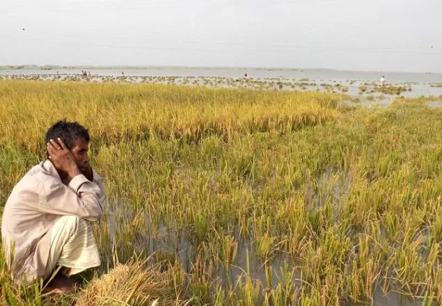 টানা ঝড়বৃষ্টিতে কৃষকের আত্মনাদ