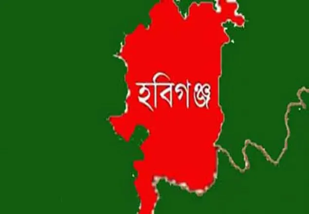 হবিগঞ্জে নিয়ন্ত্রণ হারিয়ে বাস খাদে, নিহত ২