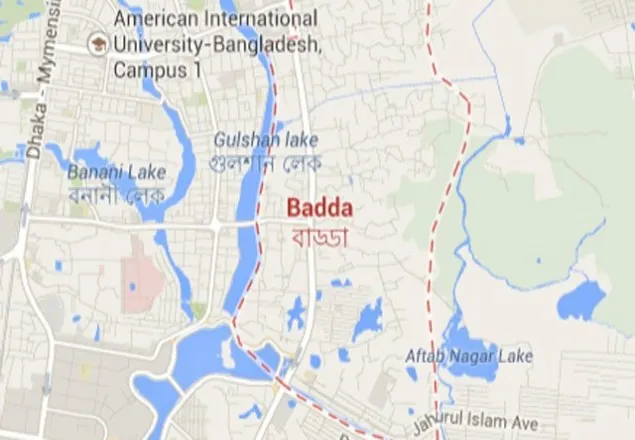 বাড্ডায় গ্যাসের আগুনে দগ্ধ ৫
