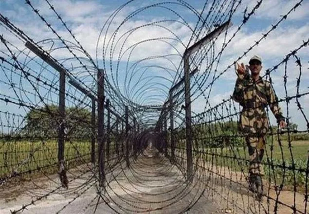 ঠাকুরগাঁও সীমান্তে বাংলাদেশিকে ধরে নিয়ে গেছে বিএসএফ