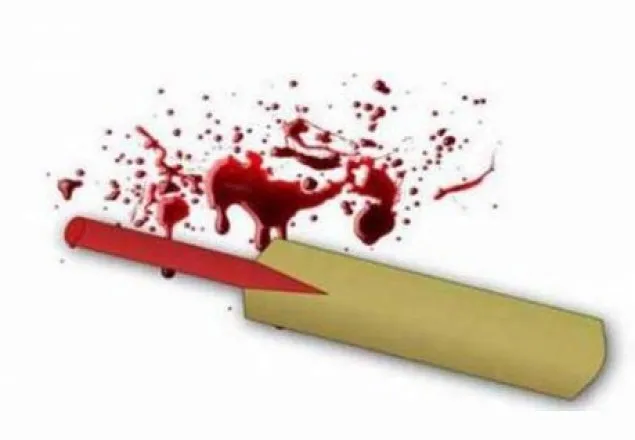 ক্রিকেট খেলা নিয়ে বন্ধুর হাতে বন্ধু খুন 
