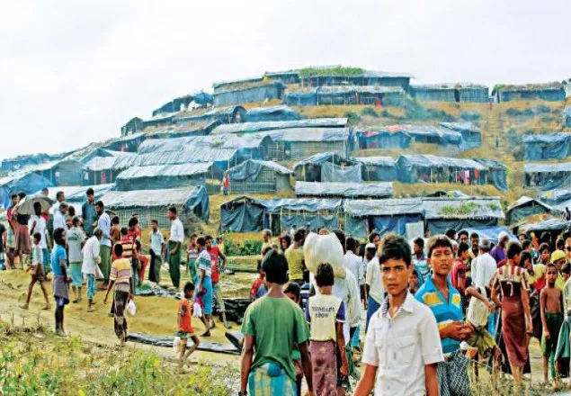 রোহিঙ্গা প্রত্যাবাসন : দিল্লিতে ৭৬ দেশের রাষ্ট্রদূতের সহায়তা চাইল ঢাকা