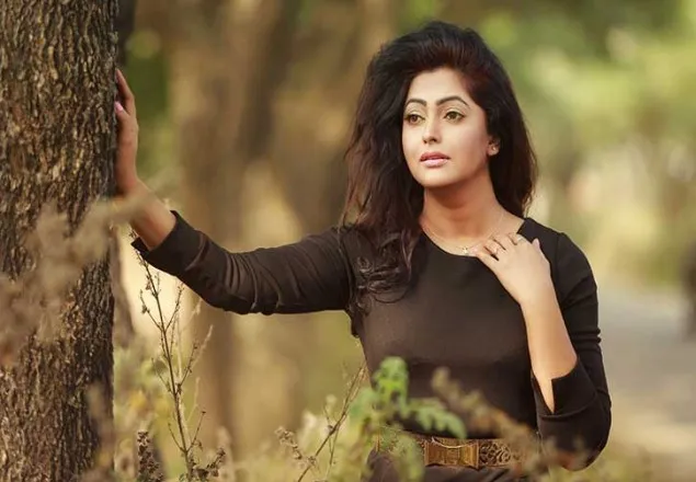 নিষিদ্ধ হলো নিপুনের ছবি ‘ধূসর কুয়াশা’