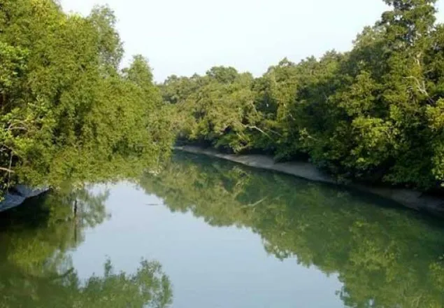 ঘুষ গ্রহণের অভিযোগে ওসিসহ ৪জন বরখাস্ত